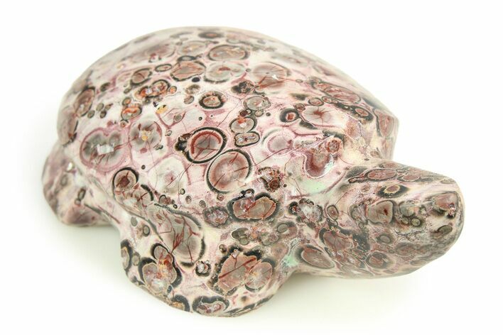 Carved Leopard Stone Turtle - Mexico #308291